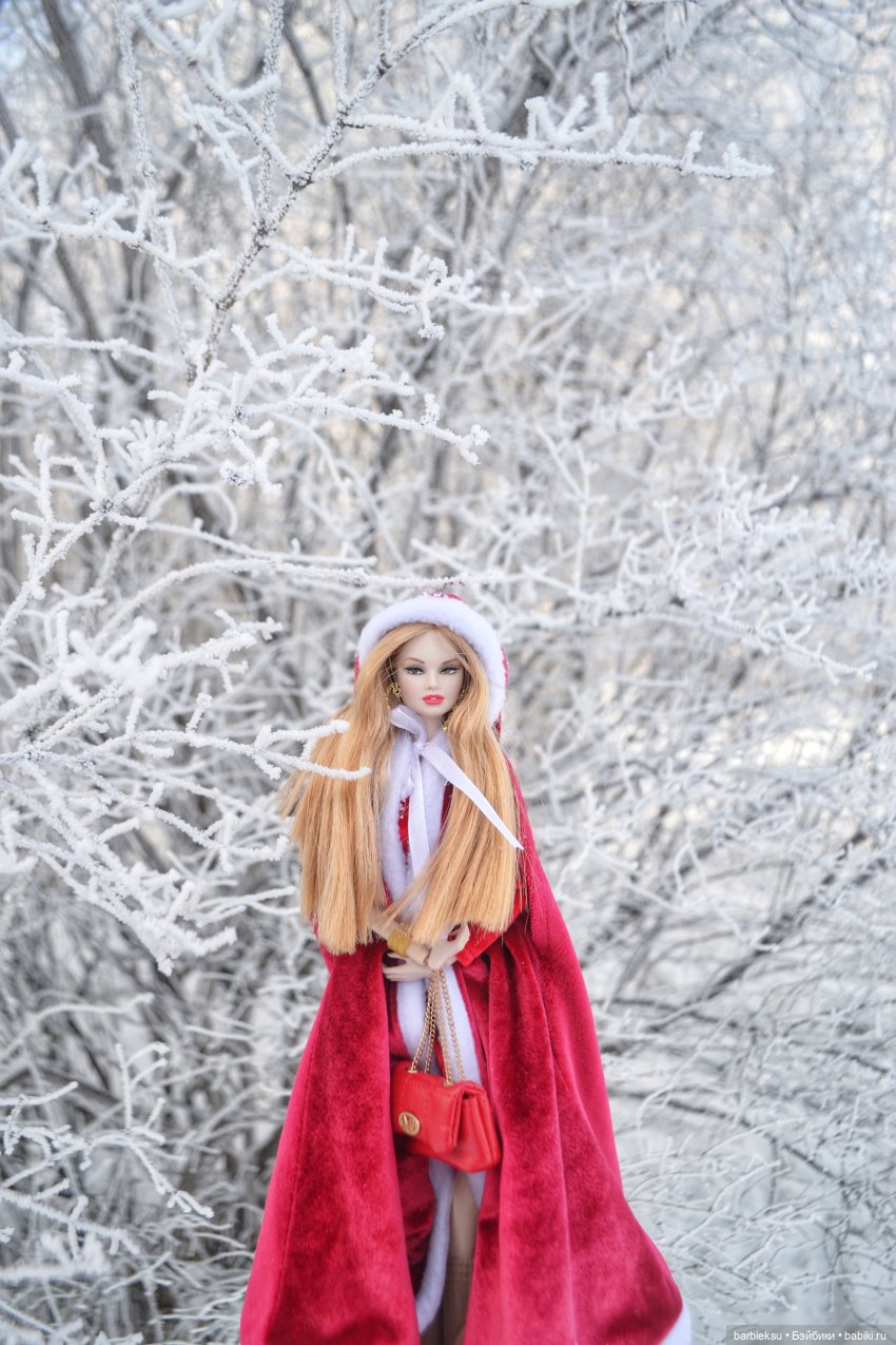 Зимний лес и его обитатели!❄️ (фото 2)