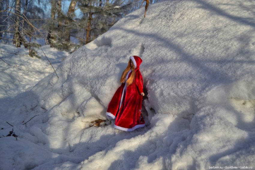 Зимний лес и его обитатели!❄️