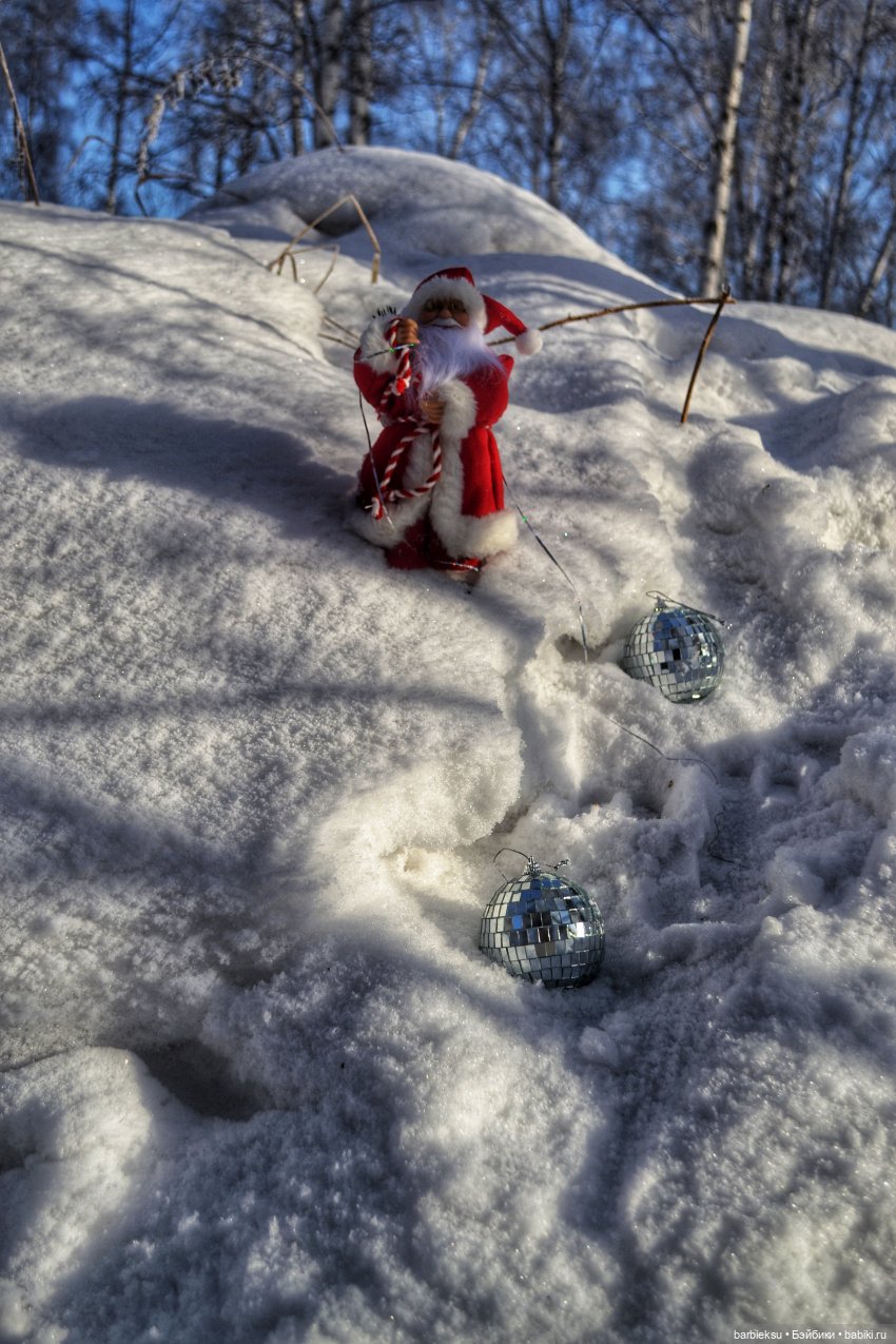 Зимний лес и его обитатели!❄️