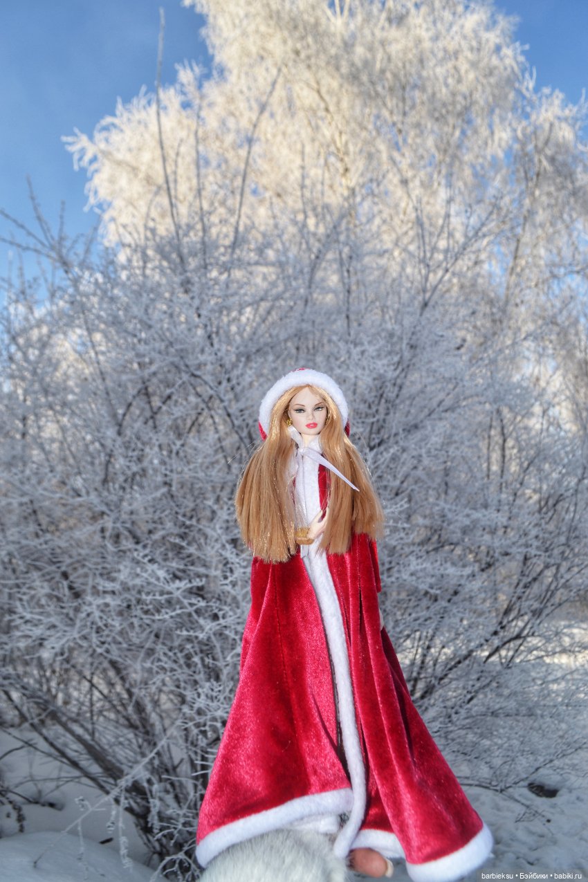 Зимний лес и его обитатели!❄️