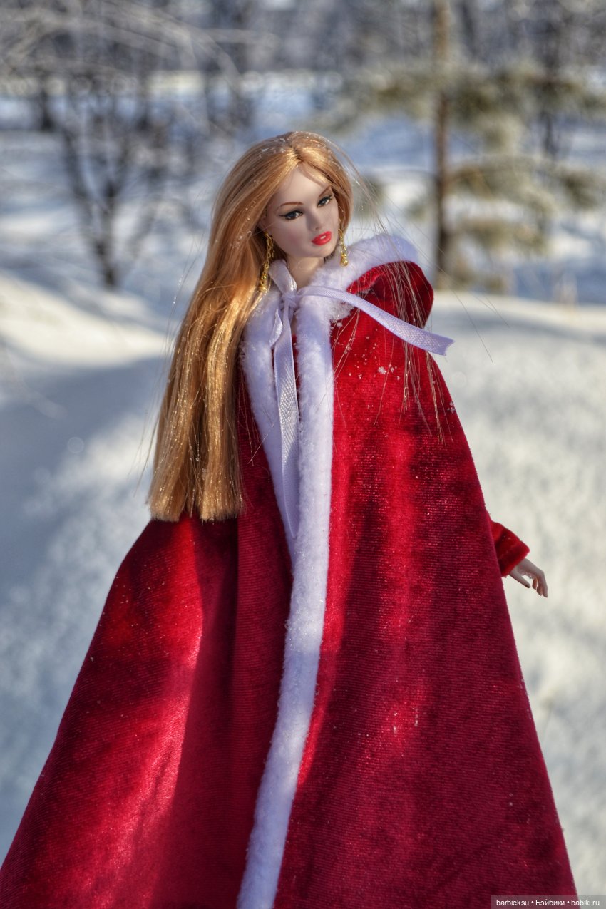 Зимний лес и его обитатели!❄️