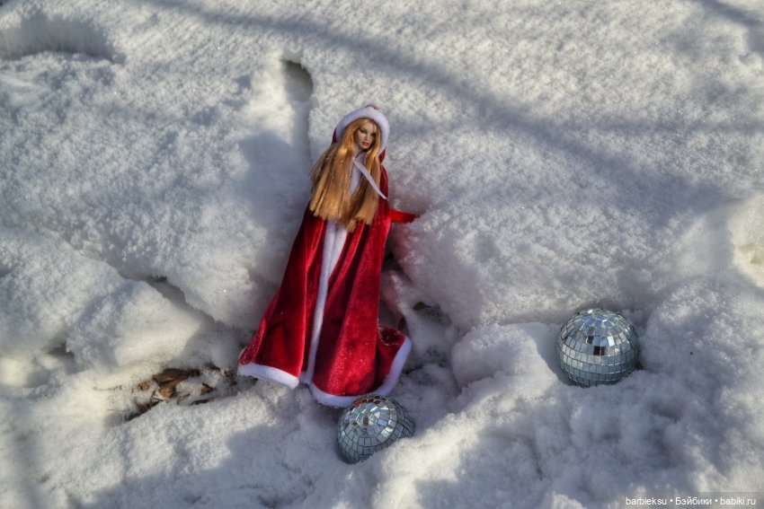 Зимний лес и его обитатели!❄️