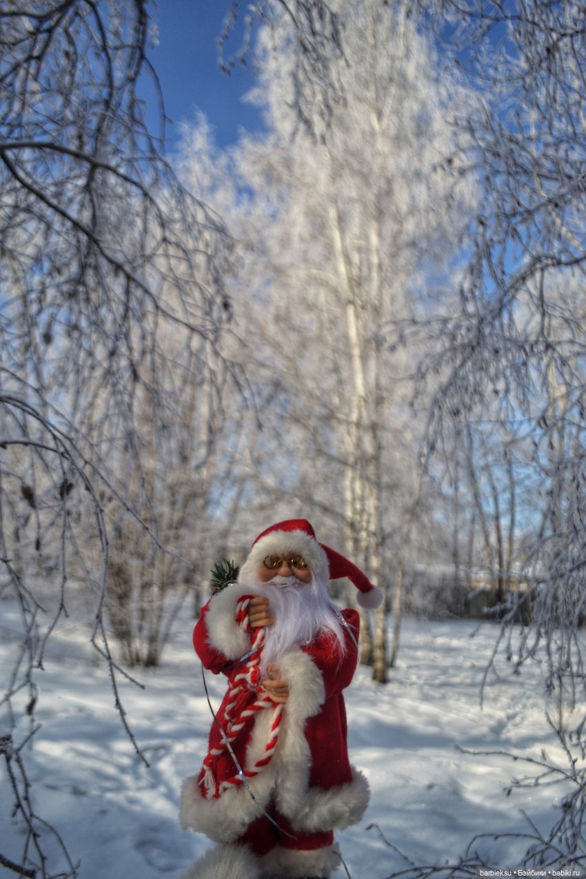 Зимний лес и его обитатели!❄️ (фото 10)