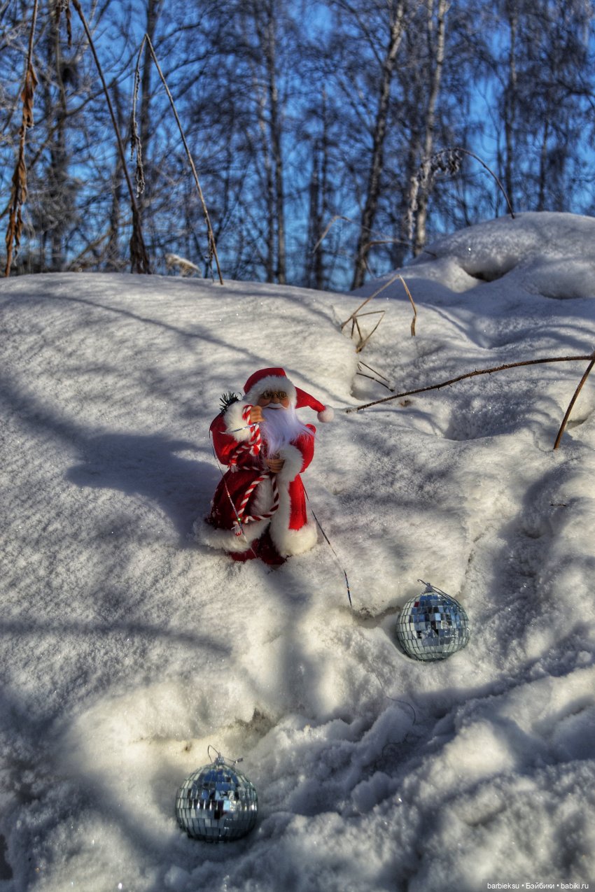 Зимний лес и его обитатели!❄️
