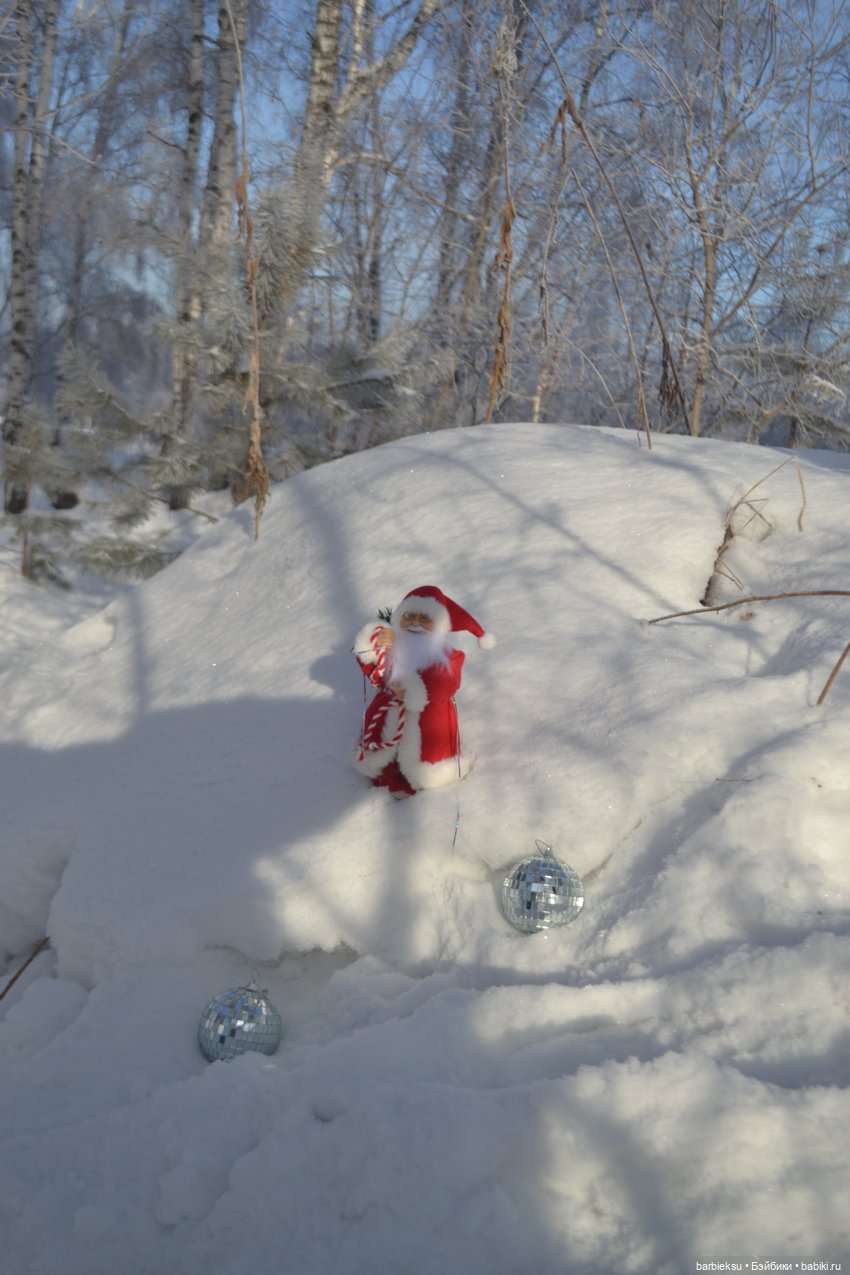 Зимний лес и его обитатели!❄️ (фото 8)