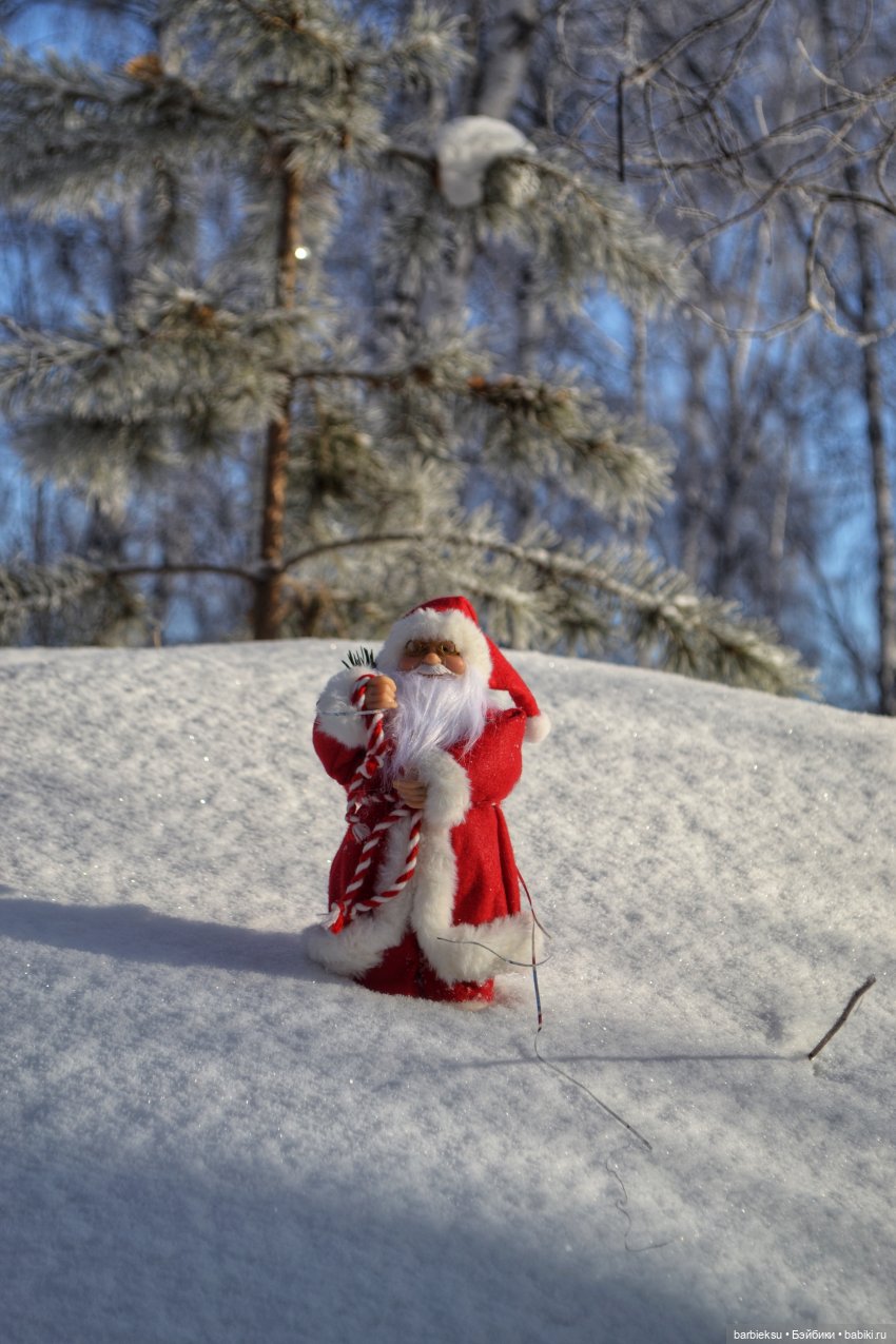 Зимний лес и его обитатели!❄️
