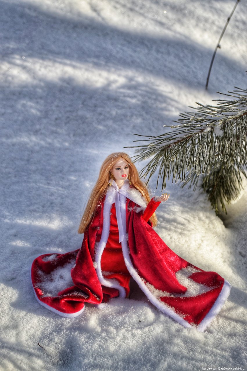 Зимний лес и его обитатели!❄️