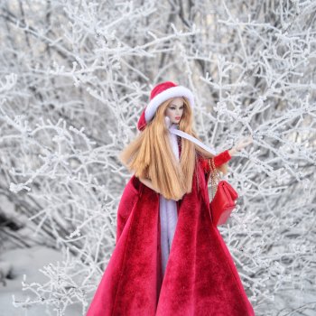 Зимний лес и его обитатели!❄️