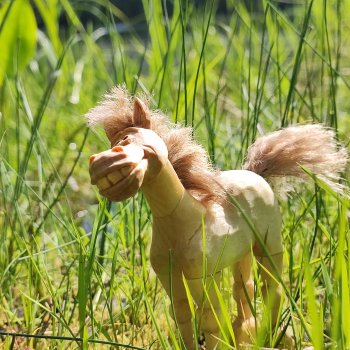 Конь на прогулке!! 🐴🐴🐴🌿🌿🌿