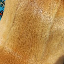 Мех нутрии натуральный