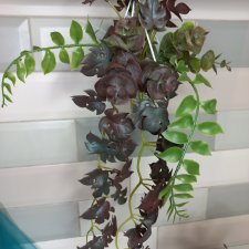 Подвесное декоративное растение для интерьера