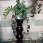 Декоративное растение для интерьера.