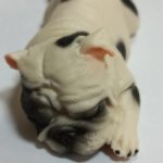 Спящий щеночек