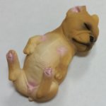 Спящий щенок