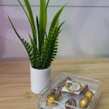 Цветок в горшке