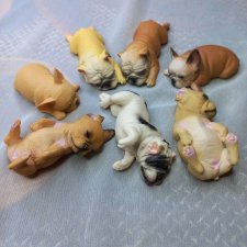 Чудесные спящие милашки!