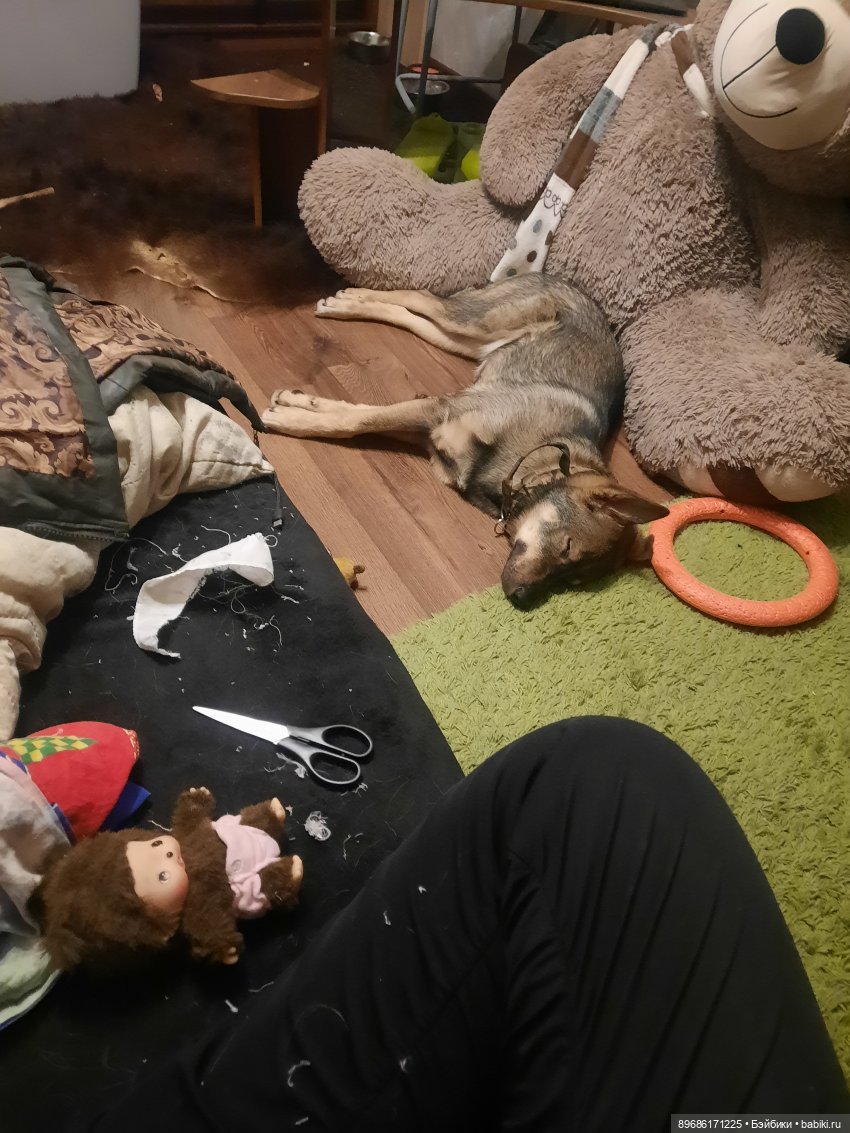 Прелестный одуванчик — Опознание кукол СССР и ГДР: поиск по фото (фото 8)