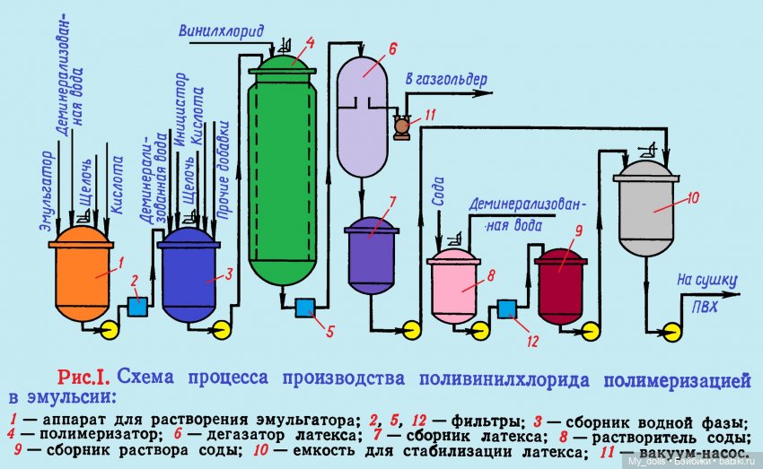 Бригид от Цвергназе Юниор, 2024 (Brigid, Zwergnase Junior, 2024) - Голая правда! (2-я часть) (фото 8)