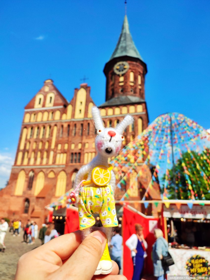 Маленькое путешествие Монро | Бэйбики Маленькое путешествие Монро (фото 6)