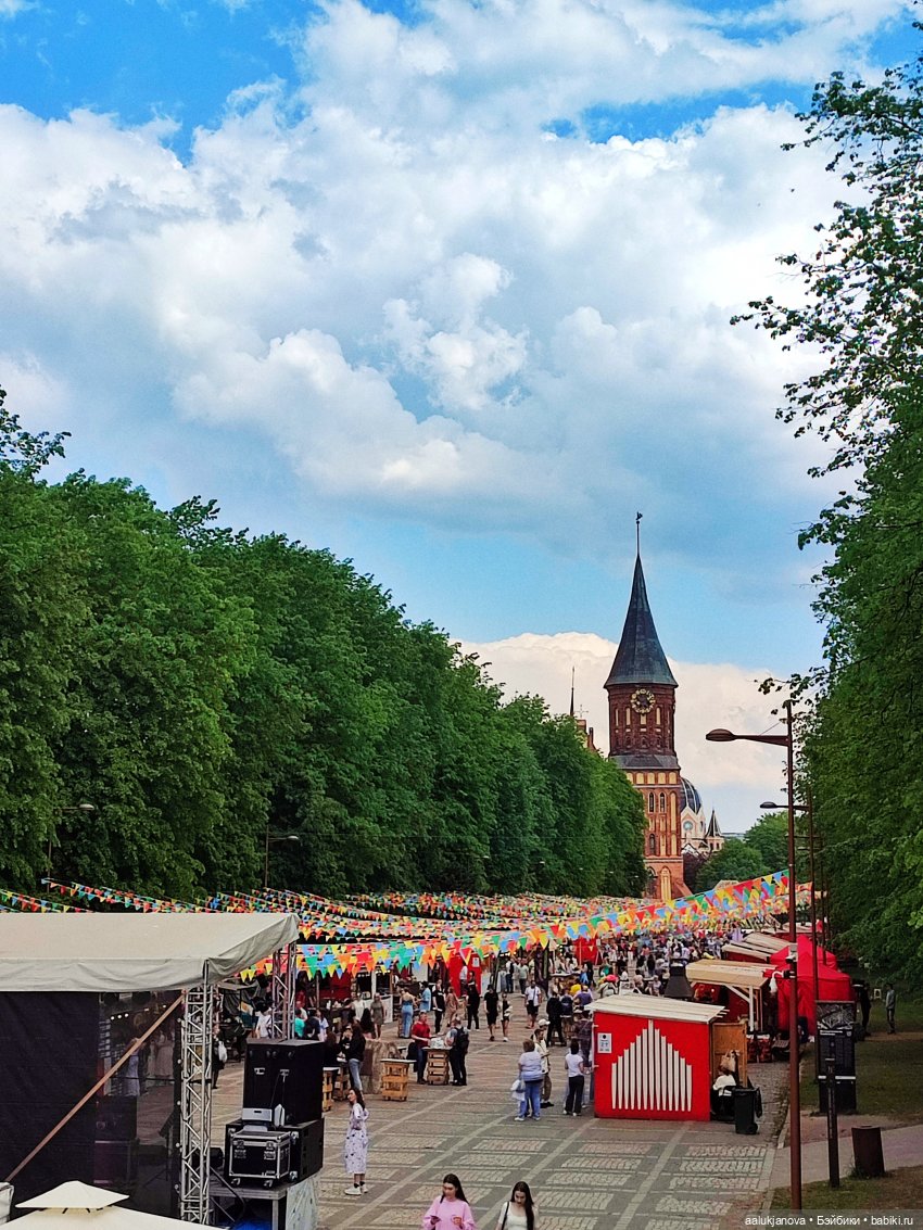 Маленькое путешествие Монро | Бэйбики Маленькое путешествие Монро (фото 3)