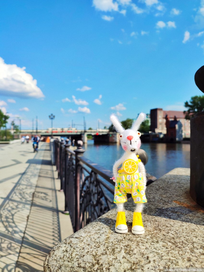 Маленькое путешествие Монро | Бэйбики Маленькое путешествие Монро