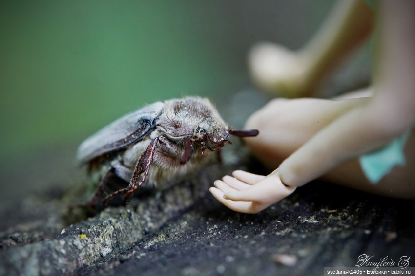 Если бы Дюймовочка существовала - часть 3 (фото 5)