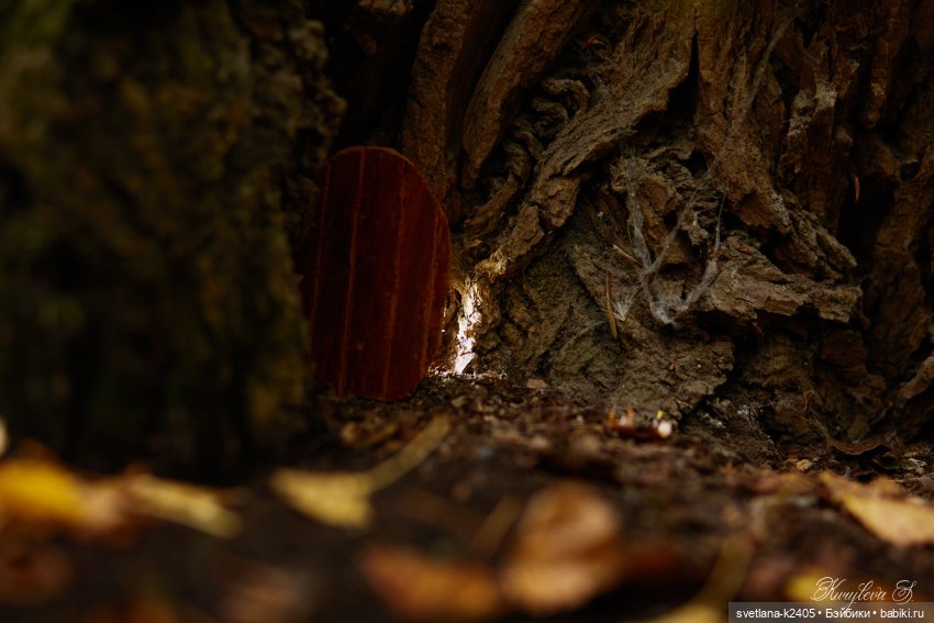 Если бы Дюймовочка существовала - часть 4 (фото 6)