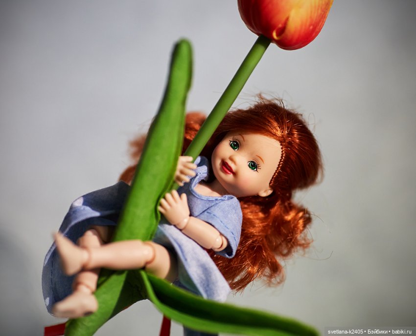 Жизненные ценности — Гибриды шарнирных кукол (не БЖД): подбор тела