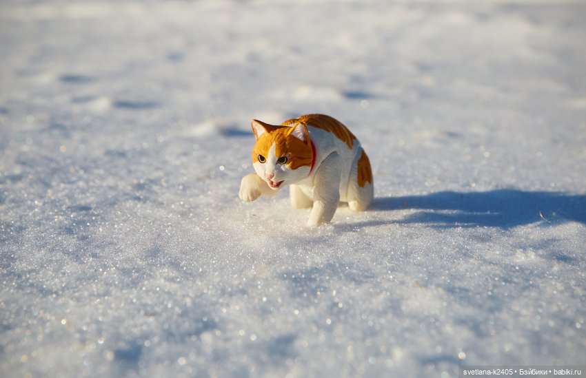 Кот. Мартовский кот | Бэйбики Кот. Мартовский кот — Разные шарнирные куклы (не БЖД): редкие