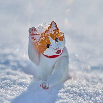 Кот. Мартовский кот!