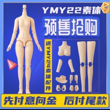 Взрослое тело YMY в двух вариантах