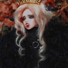 bedoll head on male obitsu 1/6 body