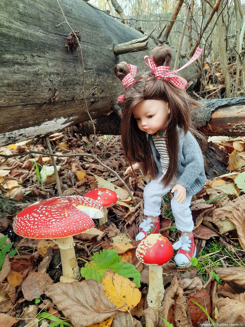 Как мы в лес за грибами ходили (фото 2)