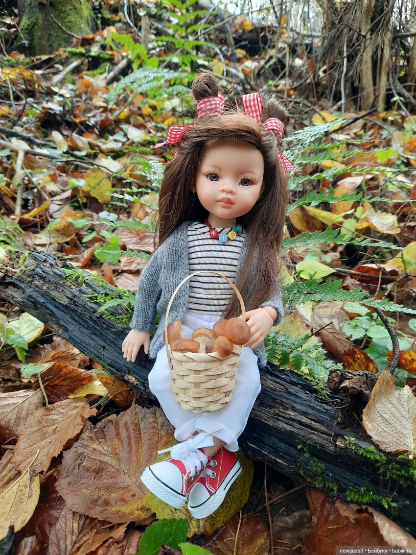 Как мы в лес за грибами ходили (фото 5)