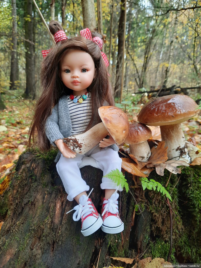 Как мы в лес за грибами ходили (фото 7)