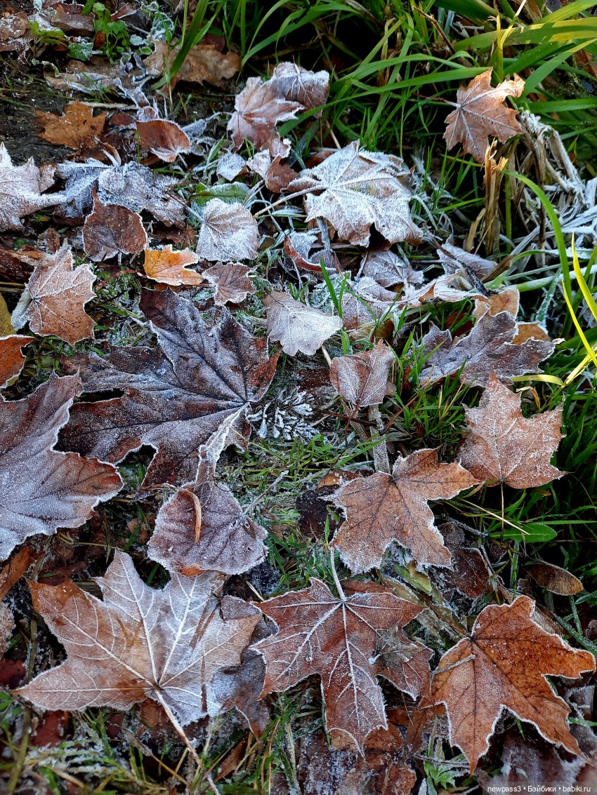 Девочка-осень Аманда — Куклы Sylvia Natterer (Сильвия Наттерер): Gotz (фото 10)