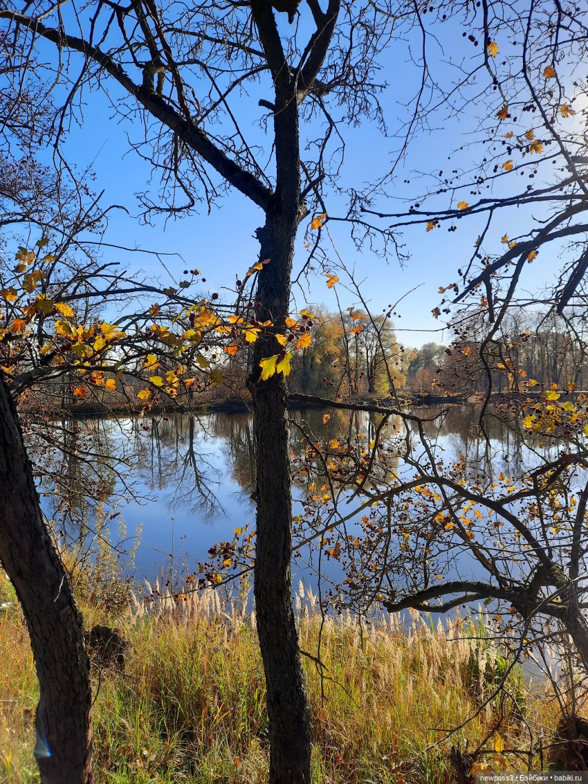 Девочка-осень Аманда — Куклы Sylvia Natterer (Сильвия Наттерер): Gotz (фото 6)