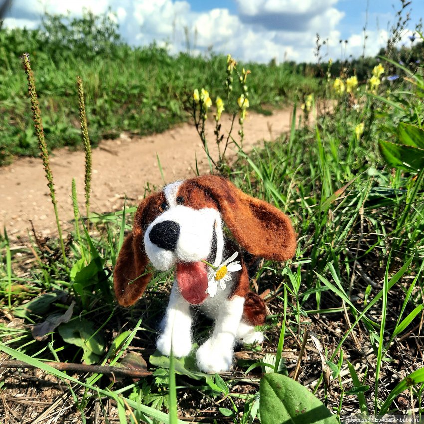 История одной счастливой встречи (фото 2)