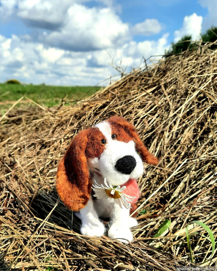 История одной счастливой встречи