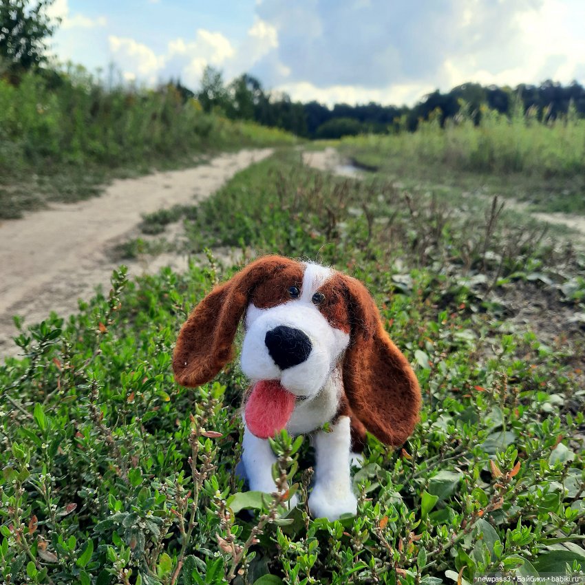 История одной счастливой встречи (фото 3)