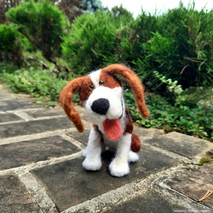 История одной счастливой встречи (фото 8)