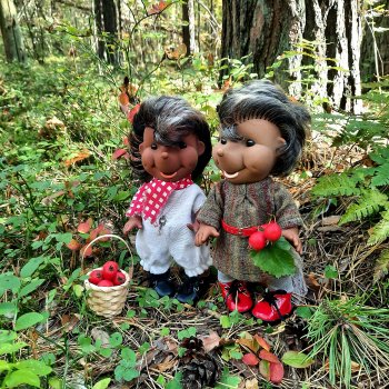 Из жизни ёжиков