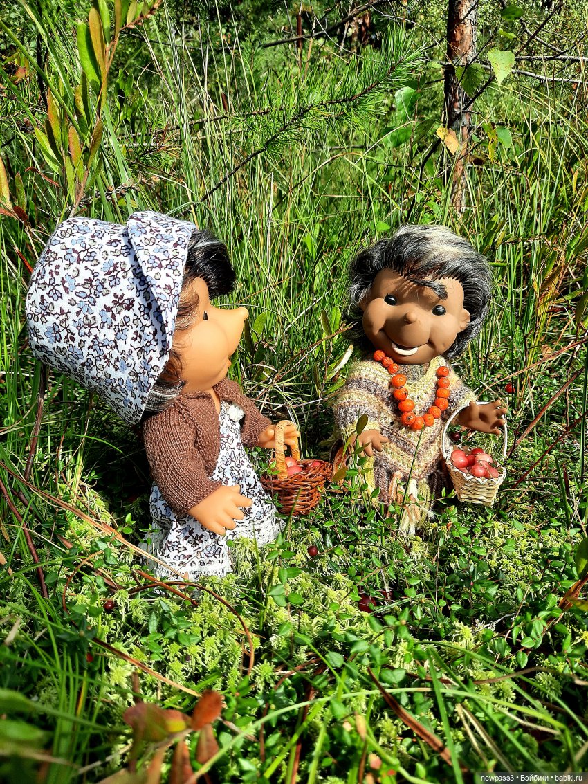 Из жизни ёжиков 2 ( ПРОДОЛЖЕНИЕ)