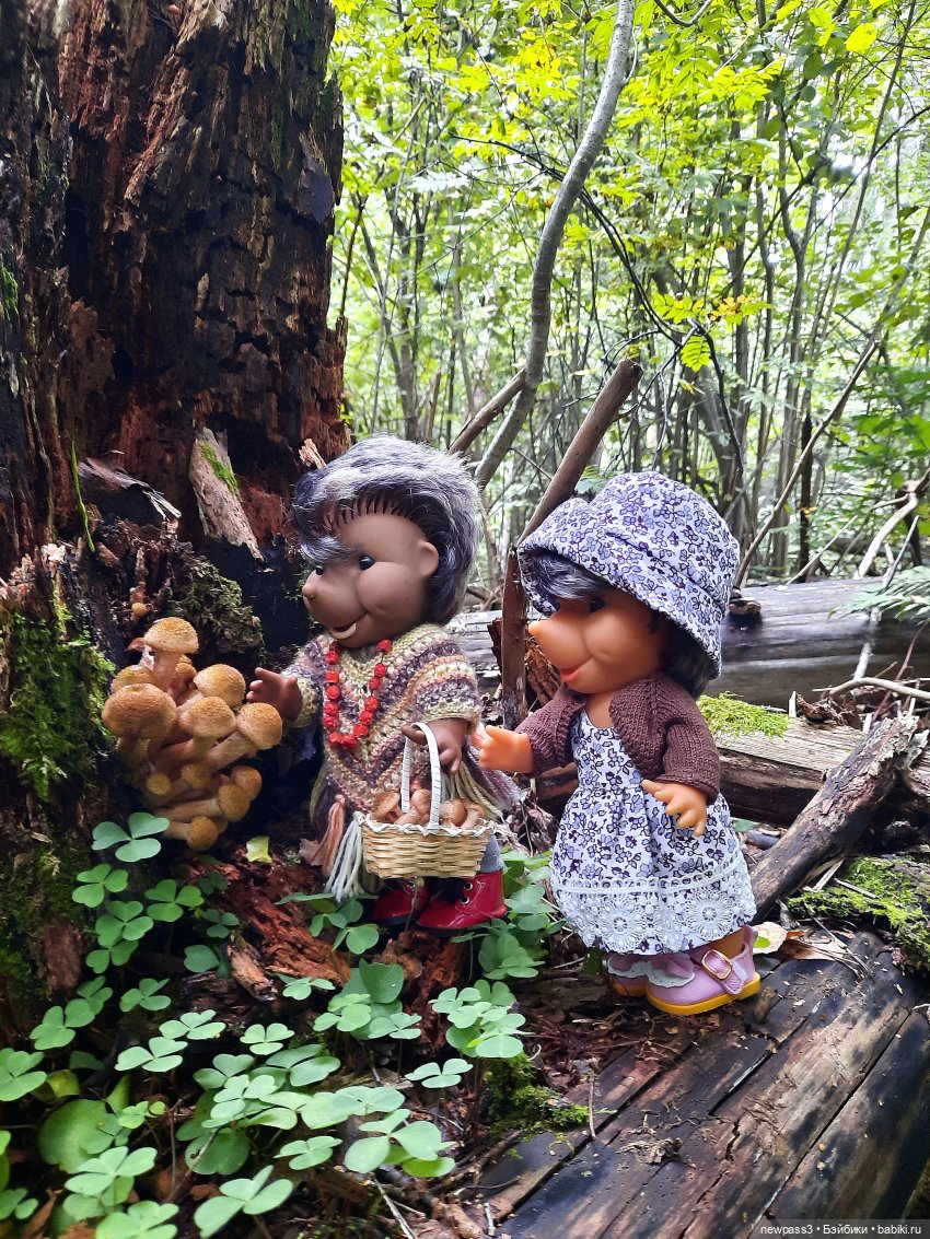 Из жизни ёжиков 2 ( ПРОДОЛЖЕНИЕ)