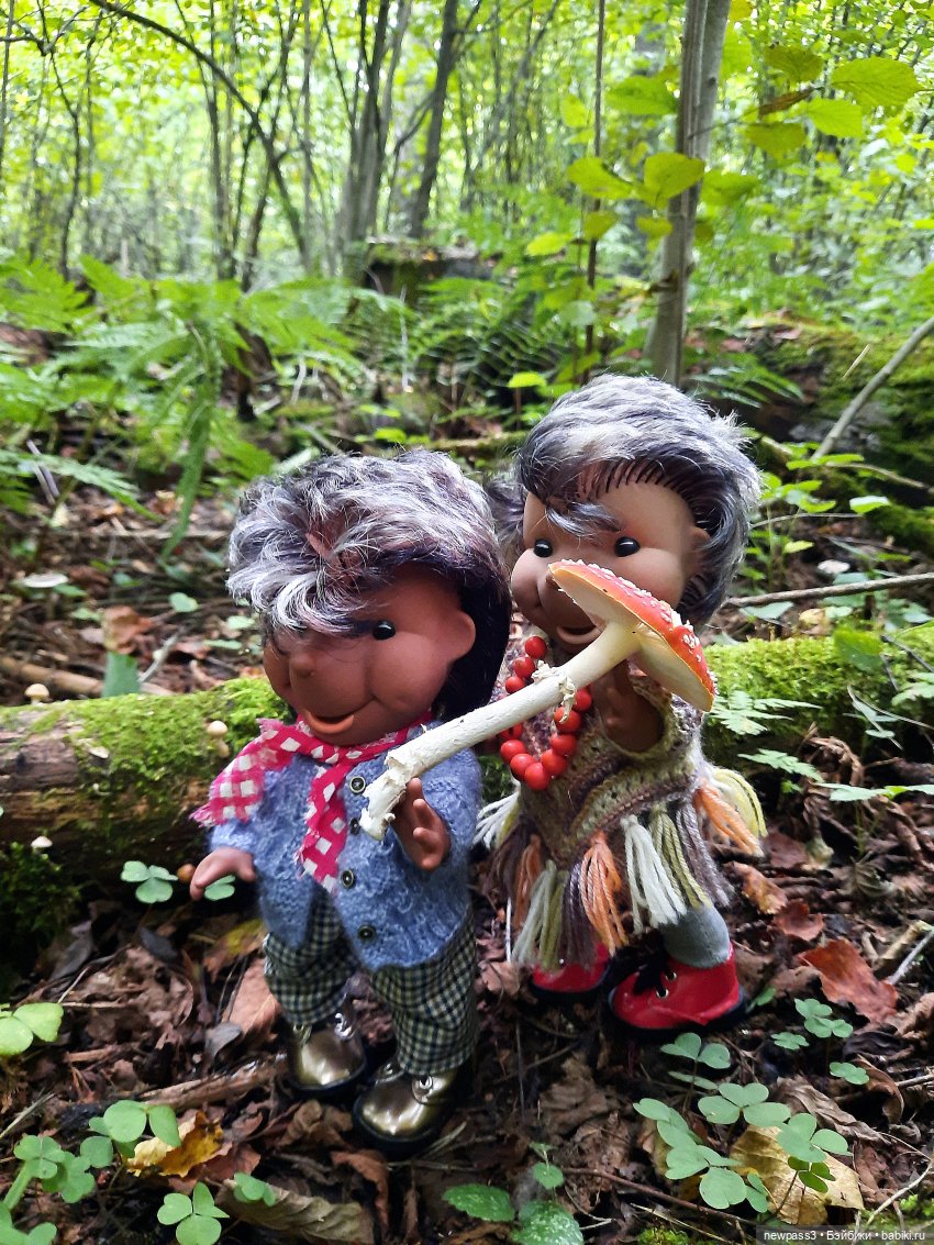 Из жизни ёжиков 2 ( ПРОДОЛЖЕНИЕ)