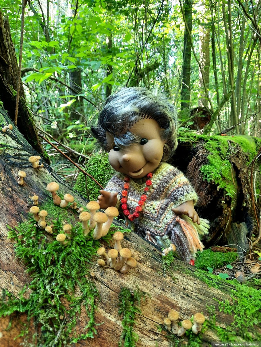 Из жизни ёжиков 2 ( ПРОДОЛЖЕНИЕ)