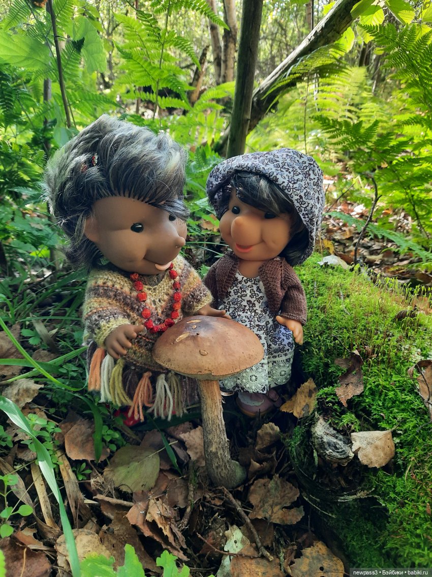 Из жизни ёжиков 2 ( ПРОДОЛЖЕНИЕ)