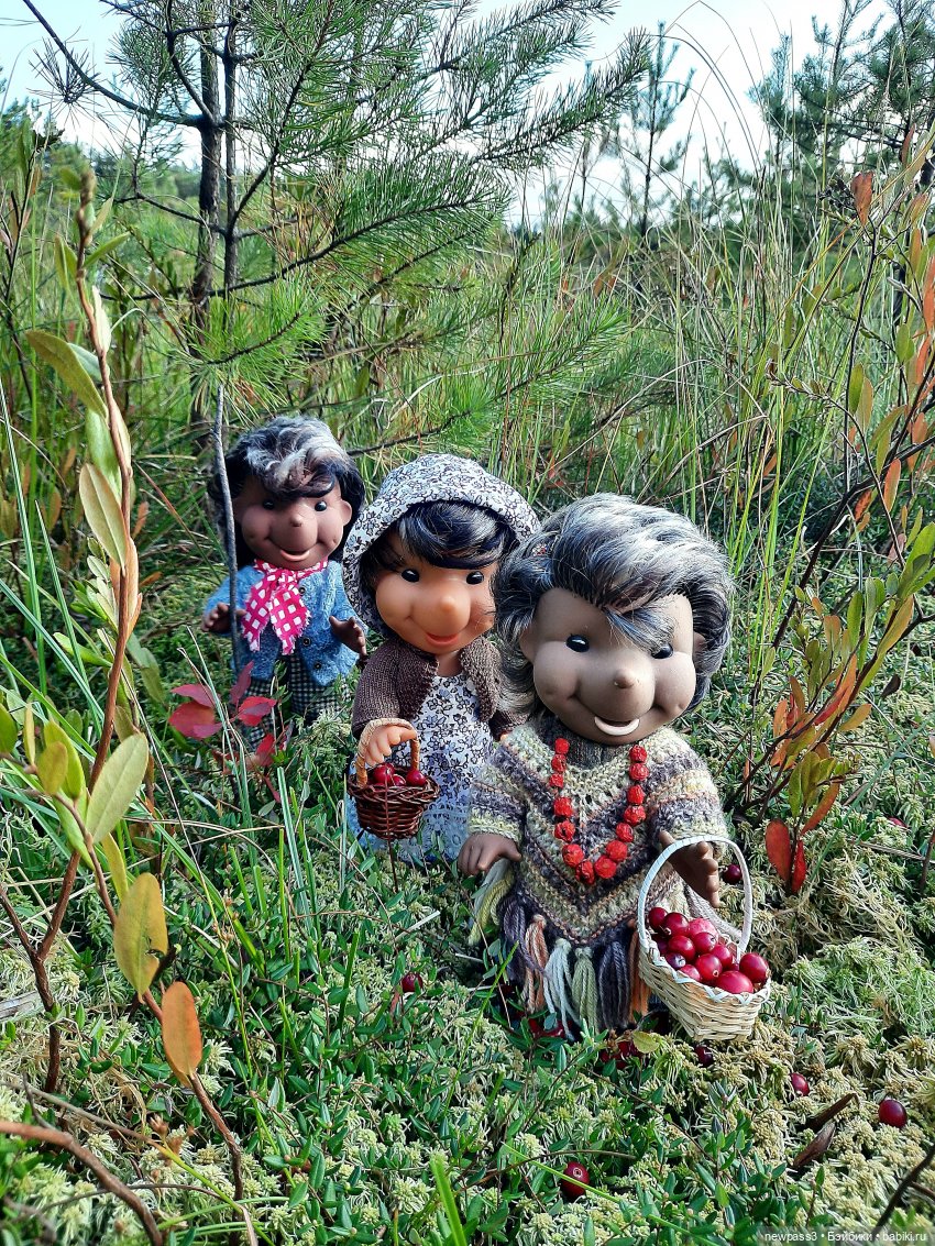 Из жизни ёжиков 2 ( ПРОДОЛЖЕНИЕ)