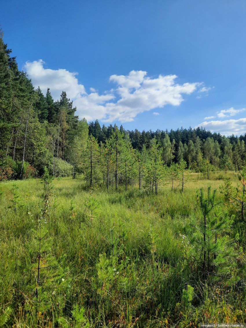 Из жизни ёжиков 2 ( ПРОДОЛЖЕНИЕ)