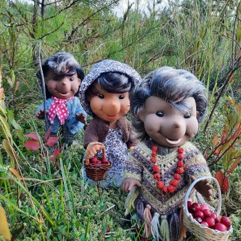 Из жизни ёжиков 2 ( ПРОДОЛЖЕНИЕ)